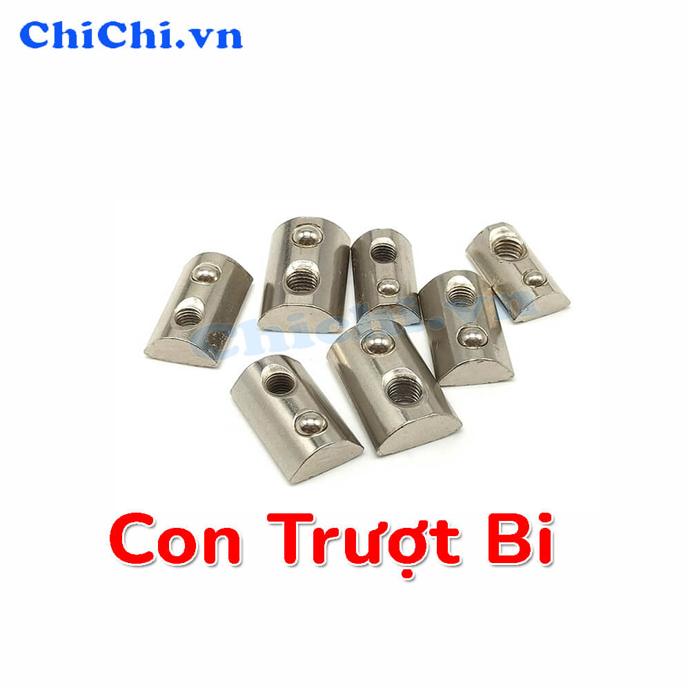 Con trượt bi