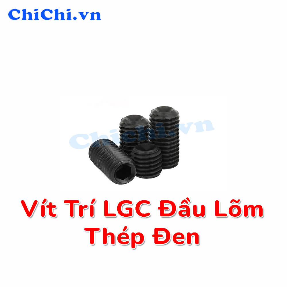 Vít trí LGC đầu bằng Vít trí LGC đầu bằng