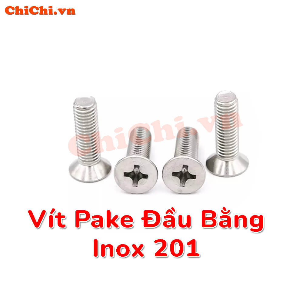 Vít pake đầu bằng inox 201